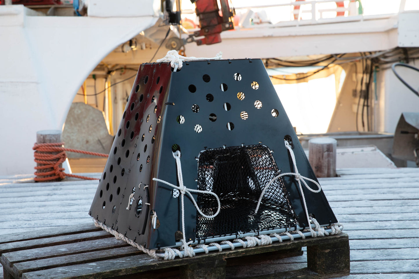 Vikingteina