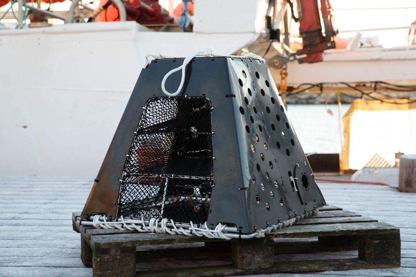 Vikingteina